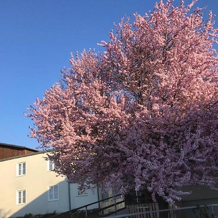 Landpension Gschwantner Lengenfeld Экстерьер фото