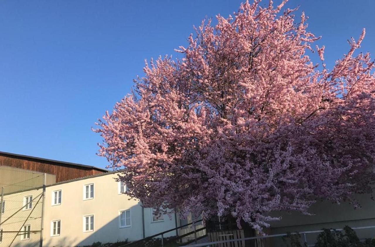 Landpension Gschwantner Lengenfeld Экстерьер фото